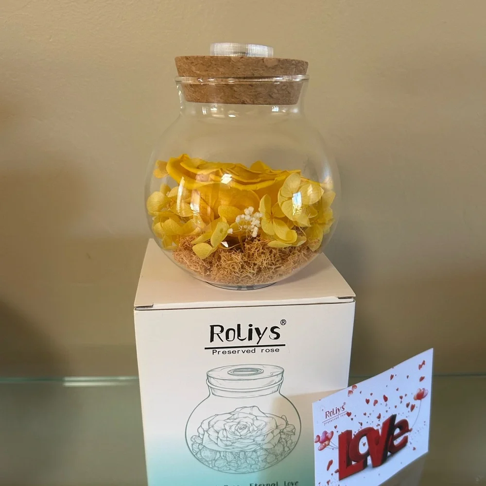 NWT Roliys Preserved/Eternal Rose